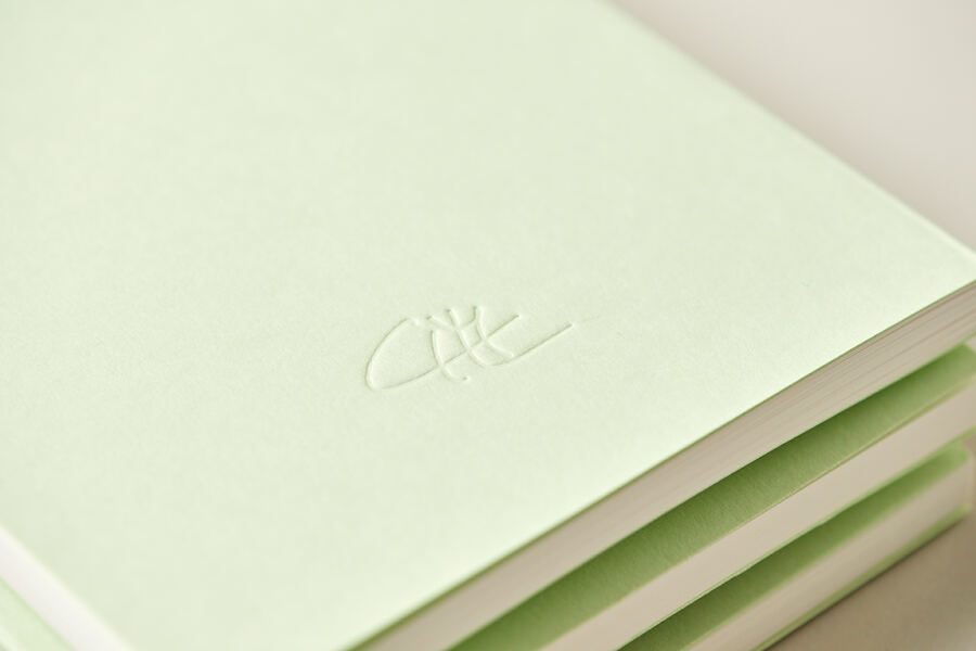 „Der Schleier“ Buchgestaltung für Christian Meyer-Landrut