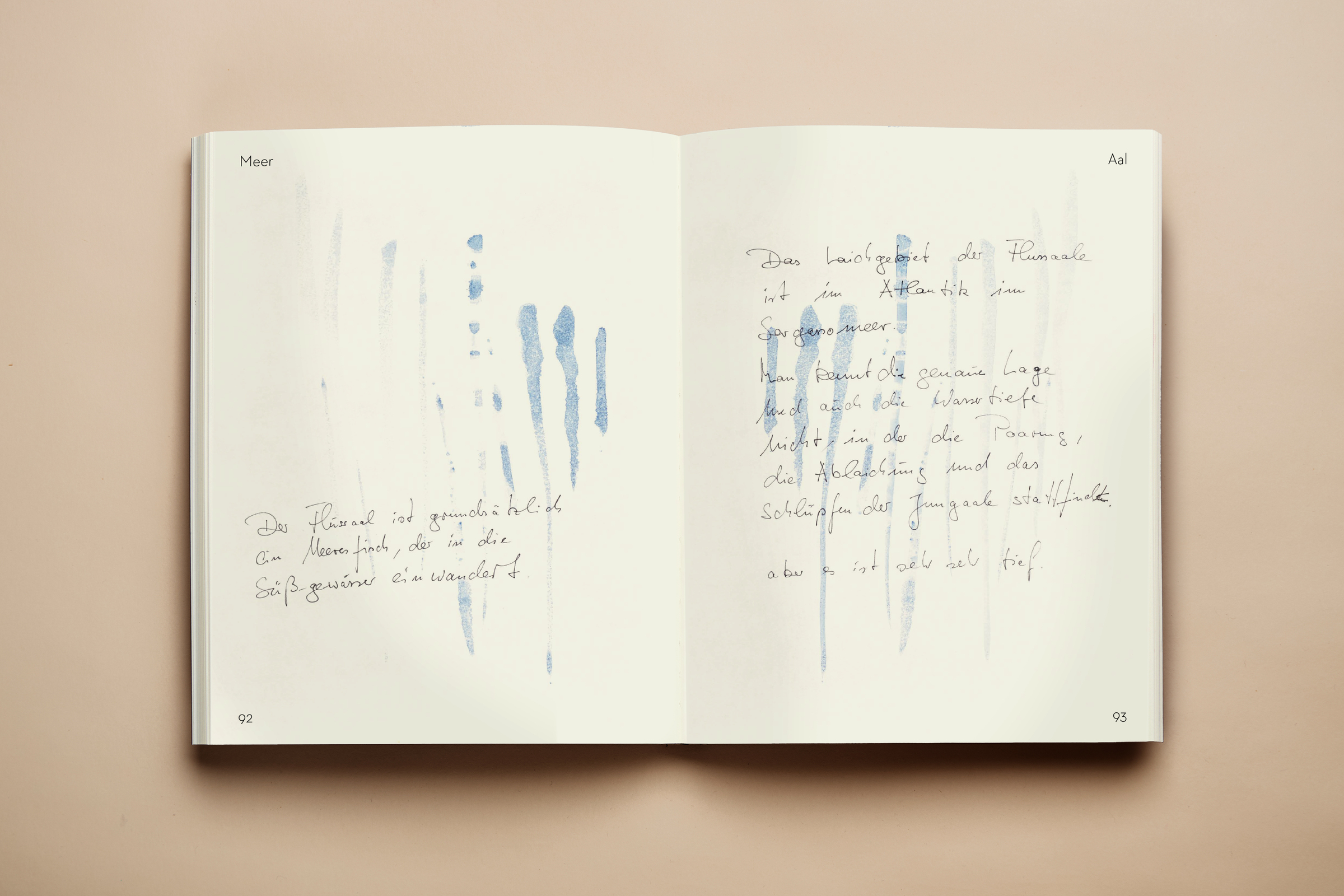 „Meer“ Buchgestaltung für Christian Meyer-Landrut