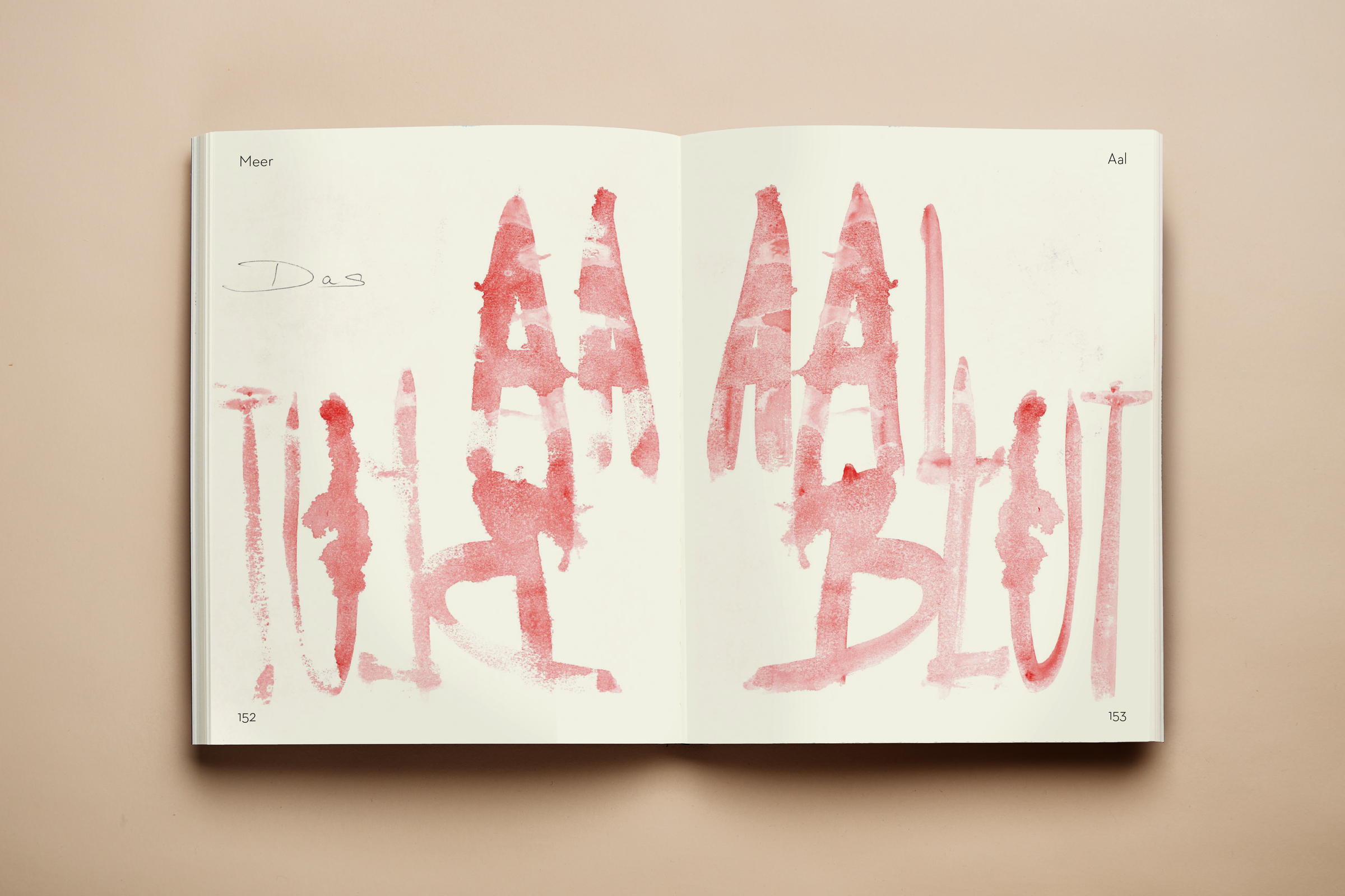 „Meer“ Buchgestaltung für Christian Meyer-Landrut