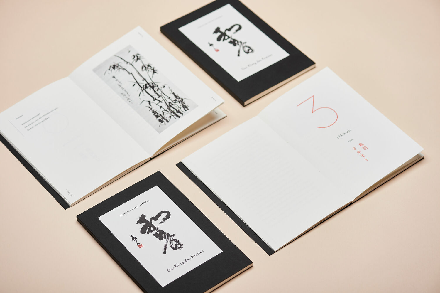 „Der Klang des Kreises“ Buchgestaltung für Christian Meyer-Landrut