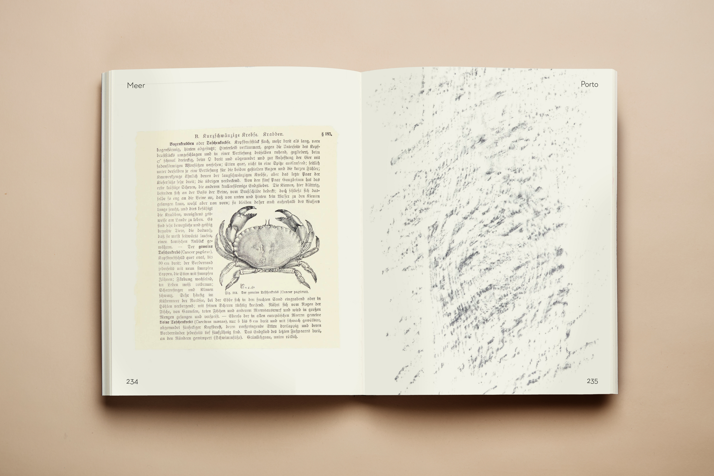 „Meer“ Buchgestaltung für Christian Meyer-Landrut